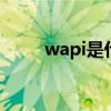 wapi是什么功能 wapi是哪个功能