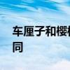 车厘子和樱桃的区别 车厘子和樱桃有什么不同