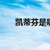 凯蒂芬是哪个的品牌 凯蒂芬是品牌吗