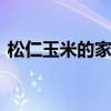 松仁玉米的家常做法 松仁玉米简单做法介绍