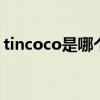tincoco是哪个的品牌 tincoco是什么的品牌