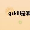 gskill是哪个的品牌 gskill是什么牌子