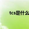 tcs是什么意思 tcs是什么意思车上的