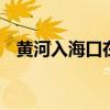 黄河入海口在哪里 黄河入海口在什么地方