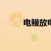 电鳗放电原因 电鳗为什么会放电