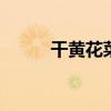 干黄花菜怎么吃 干黄花菜的做法