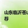 山东临沂苍山县知名特产有哪些  苍山特产推荐