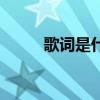 歌词是什么 这首歌的歌词是什么 