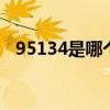 95134是哪个银行 95134是哪个银行电话