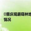 ​重庆现蘑菇林地铁站是怎么回事 重庆现蘑菇林地铁站具体情况