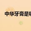中华牙膏是哪个的 中华牙膏是哪个的企业