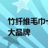 竹纤维毛巾十大品牌排行榜 竹纤维毛巾的10大品牌