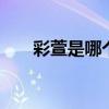 彩萱是哪个的品牌 彩萱是什么的品牌
