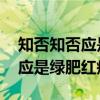 知否知否应是绿肥红瘦是什么意思 知否知否应是绿肥红瘦详解
