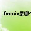 fmmix是哪个的品牌 fmmix是什么的品牌
