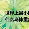 世界上最小的鸟是什么鸟 世界上最小的鸟是什么鸟体重多少