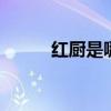 红厨是哪个的品牌 红厨厨具品牌