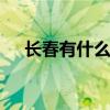 长春有什么特色美食 长春特色美食排行