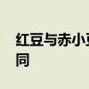 红豆与赤小豆的区别 红豆与赤小豆有哪些不同