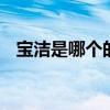 宝洁是哪个的品牌 宝洁是属于哪个的品牌