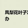凤梨花叶子发黄怎么办 凤梨叶子变黄了怎么办