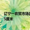辽宁一农贸市场因强降雪坍塌什么情况 多地积雪深度已超35厘米