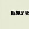 眠趣是哪个的品牌 眠趣品牌怎么样