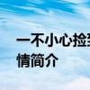 一不小心捡到爱剧情介绍 一不小心捡到爱剧情简介