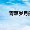 青葱岁月是什么意思 青葱岁月的意思