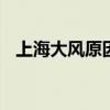 上海大风原因 为什么上海经常性那么大风