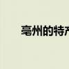 亳州的特产是什么 亳州土特产有哪些