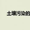土壤污染的特点 土壤污染的特点有哪些