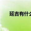 延吉有什么特产 延吉的特产都有哪些