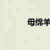 母绵羊有角吗 母绵羊有没有角