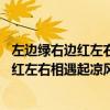 左边绿右边红左右相遇起凉风的谜底是什么 猜谜左边绿右边红左右相遇起凉风是什么