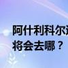 阿什利科尔退役最全信息 阿什利科尔退役后将会去哪？