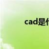 cad是什么意思 cad是什么软件