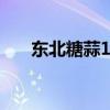 东北糖蒜10斤腌制方法 糖蒜怎么腌的