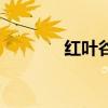 红叶谷的风景图片（红叶谷）