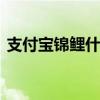 支付宝锦鲤什么意思 支付宝锦鲤是什么意思