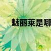 魅丽莱是哪个的品牌 魅丽莱是什么品牌
