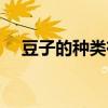 豆子的种类有哪些 豆子的种类有哪些包 