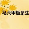 马六甲板是生态板吗 马六甲板和生态板区别