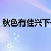 秋色有佳兴下一句 秋色有佳兴下一句是什么 