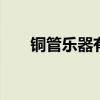 铜管乐器有哪些种类 铜管乐器的种类