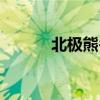 北极熊冬眠吗 北极熊会冬眠吗 
