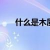 什么是木质活性炭 什么是木质活性炭