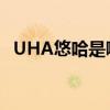 UHA悠哈是哪个的品牌 悠哈是什么的品牌