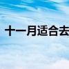 十一月适合去哪里旅游 十一月去哪旅游合适