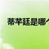 蒂芊廷是哪个的品牌 蒂芊廷是什么的品牌